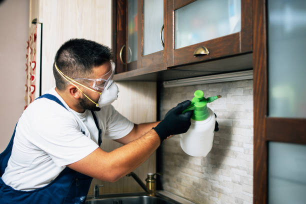 Best Emergency Pest Control  in Hereford, TX