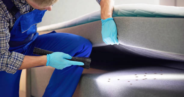 Best Wasp Removal Services  in Hereford, TX